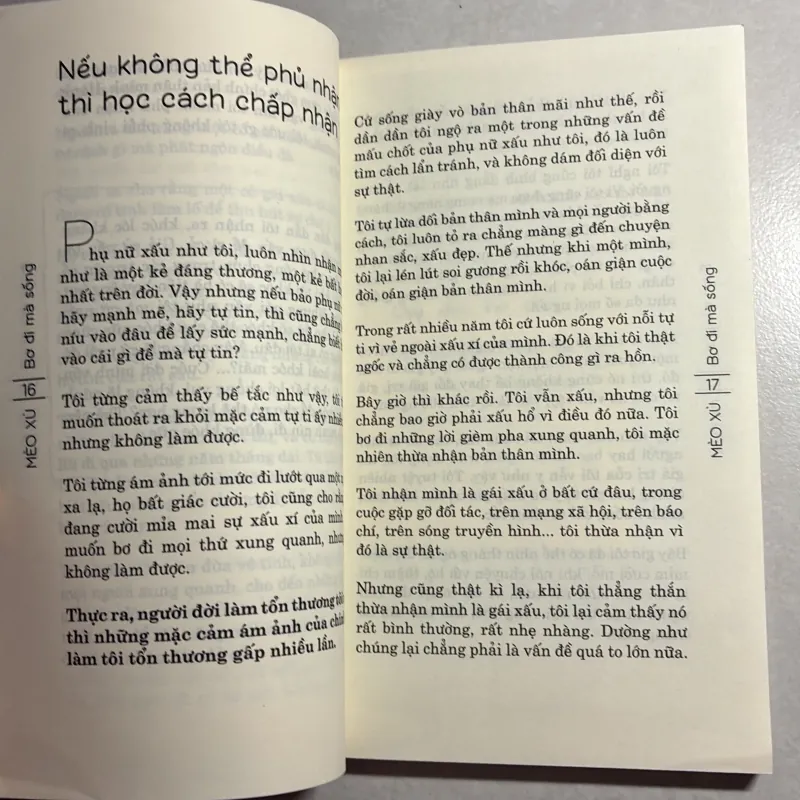 Bơ đi mà sống - Mèo Xù 800294