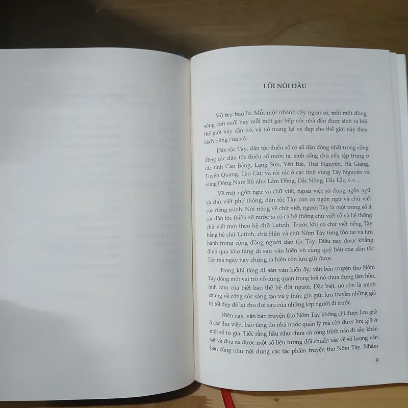 Khảo Sát Văn Bản Truyện Thơ Nôm Tày - Hoàng Phương Mai 599888