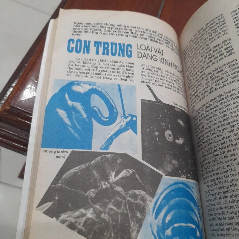 THẾ GIỚI MỚI số 77 năm 1993 447228