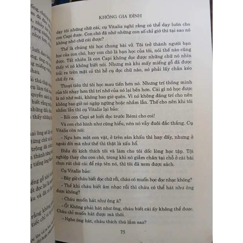 KHÔNG GIA ĐÌNH - HECTOR MALOT (HUỲNH LÝ DỊCH) 1038399