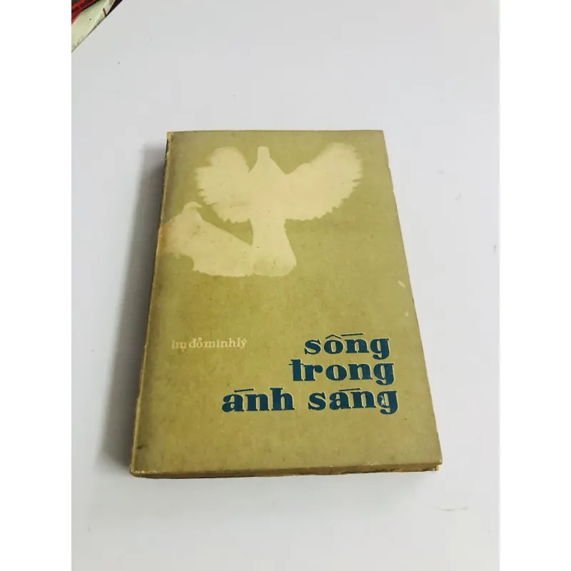 SỐNG TRONG ÁNH SÁNG ( LM Đỗ Minh Lý) 792504