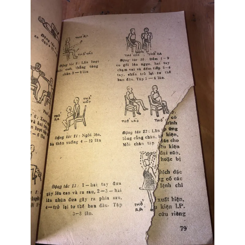 Thể Dục Chữa Lành Tại Nhà 958002