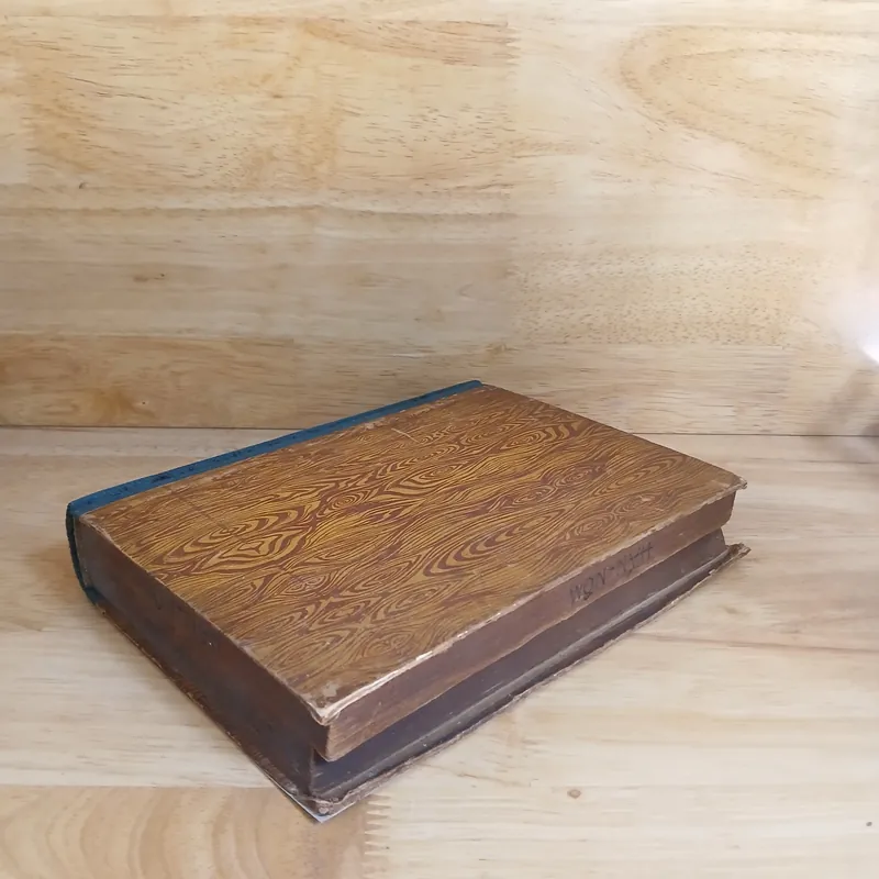 Loại Hình Các Ngôn Ngữ & Nghiên Cứu Về Chữ Nôm 736945