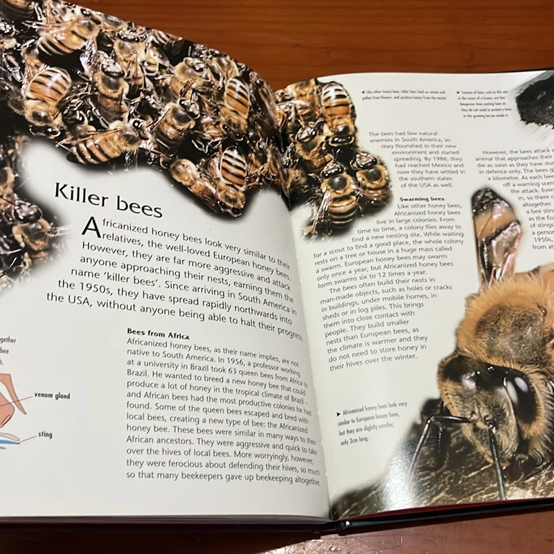 PICTURE BOOK Dangerous creatures 536327