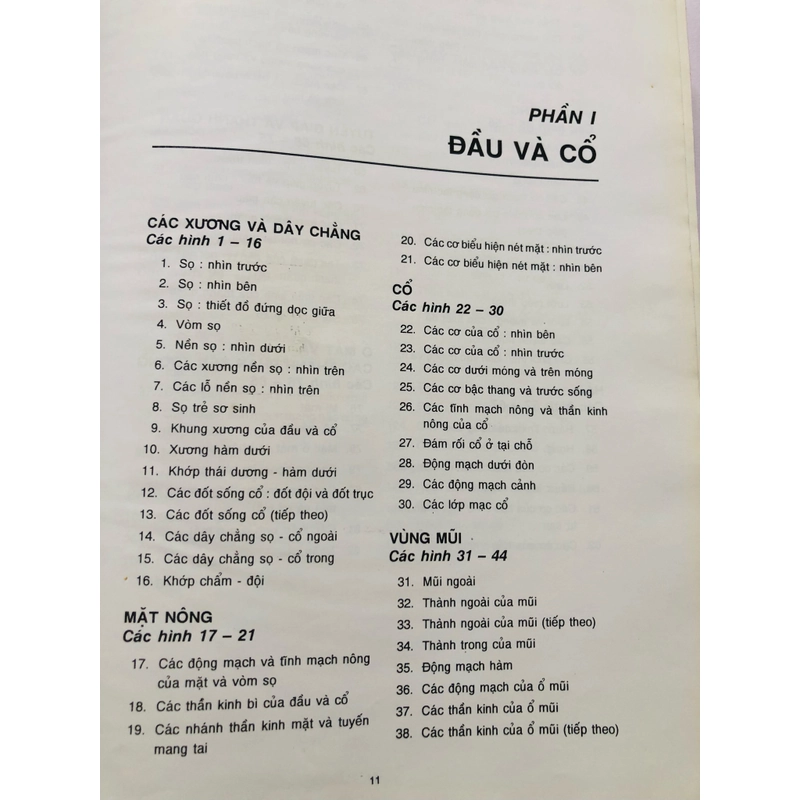 3. ATLAS GIẢI PHẪU NGƯỜI  470951