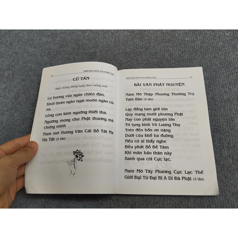 PHẬT THUYẾT ĐẠI THỪA VÔ LƯỢNG THỌ TRANG NGHIÊM THANH TỊNH BÌNH ĐẲNG GIÁC KINH 494697