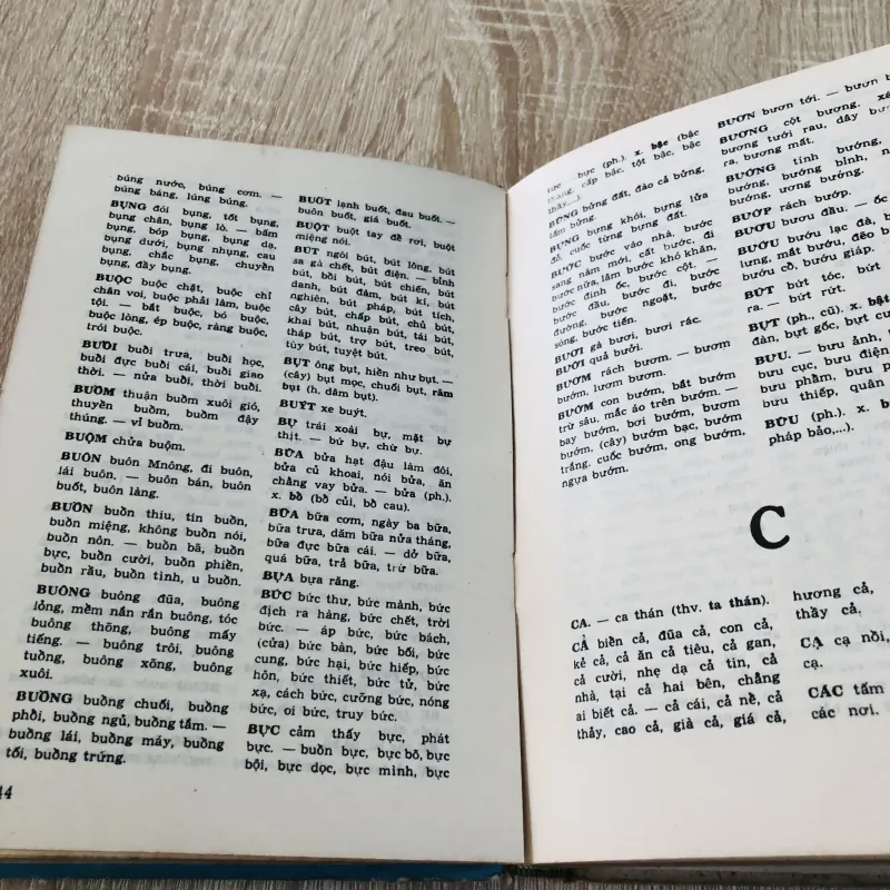 TỪ ĐIỂN CHÍNH TẢ TIẾNG VIỆT 960162