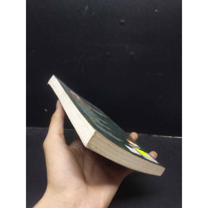 Ngọc Lai Lý Thụy Ý 2004 mới 80% ố vàng HCM1504 văn học 913867