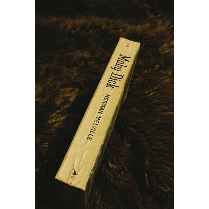 Moby Dick (English) 698197