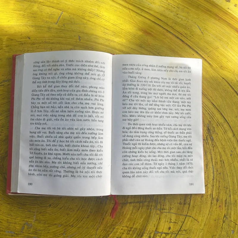 CHA TÔI, ĐẶNG TIỂU BÌNH thời kỳ cách mạng văn hoá- MAO MAO 1043020