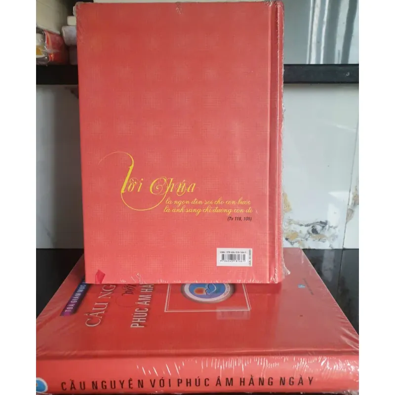 Sách Cầu Nguyện Với Phúc Âm Hằng Ngày - Tòa Giám Mục Bà Rịa sách mới 659894