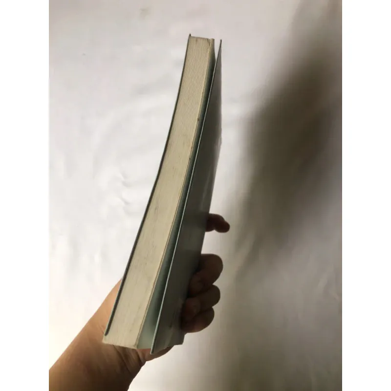 Sách cũ Em Sẽ Đến Cùng Cơn Mưa - Ichikawa Takuji 797004