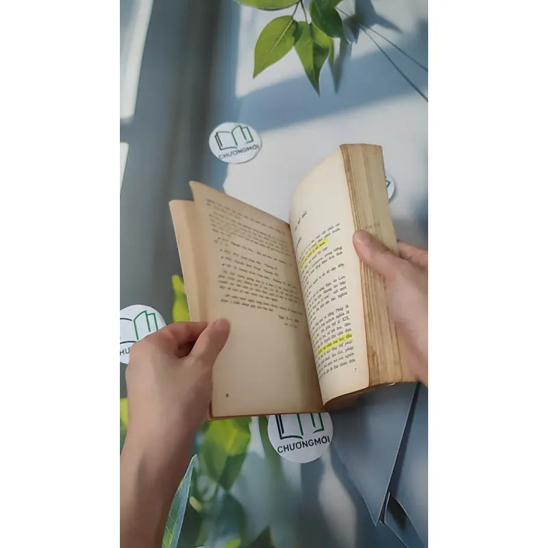 Lịch Sử Văn Minh Thế Giới - Vũ Dương Ninh 970246