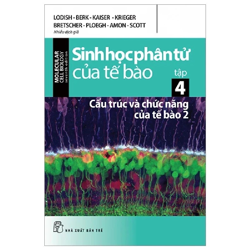 Sinh Học Phân Tử Của Tế Bào - Tập 4: Cấu Trúc Và Chức Năng Của Tế Bào 2 - Nhiều Tác Giả 186247