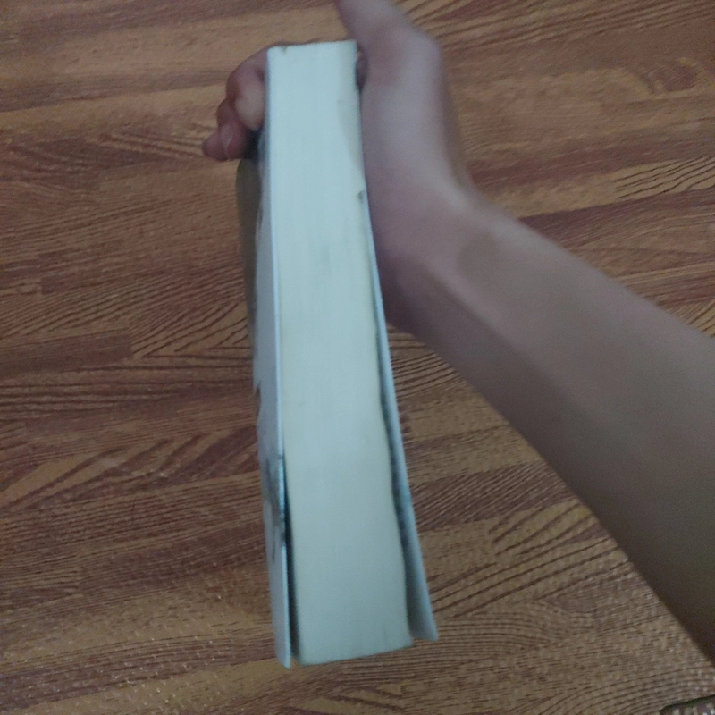 Sự trả thù hoàn hảo tác giả tử kim trần 462013