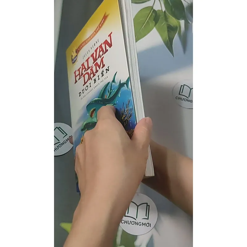 Hai vạn dặm dưới đáy biển - Jules Verne 688439