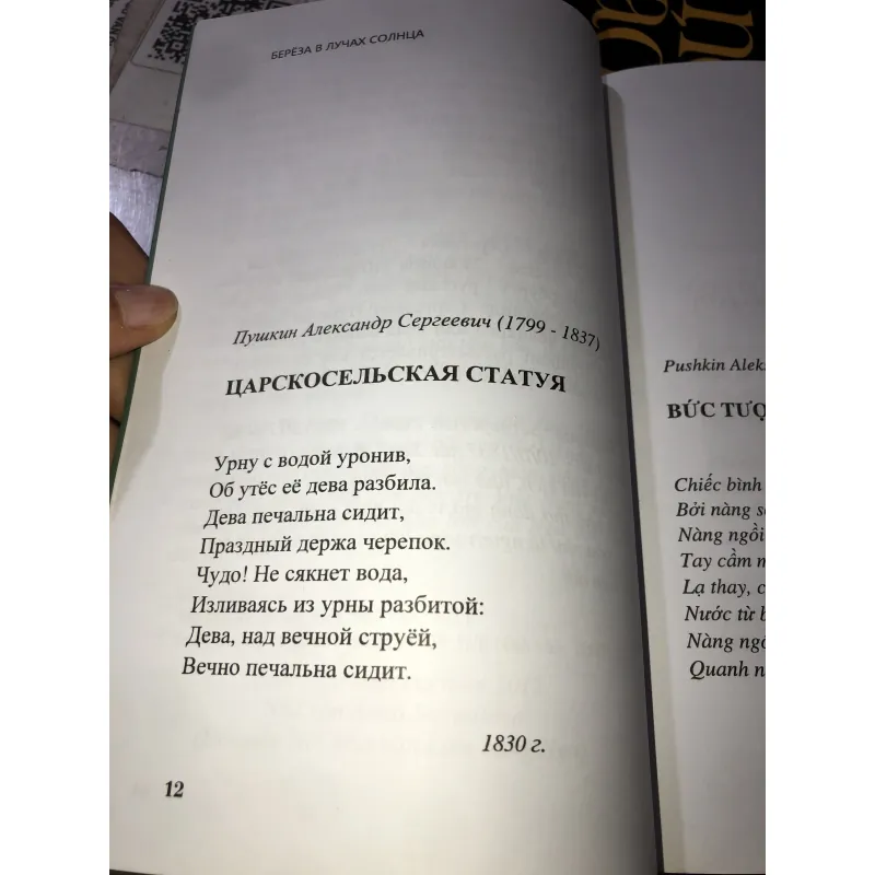 Nắng bạch dương  997407