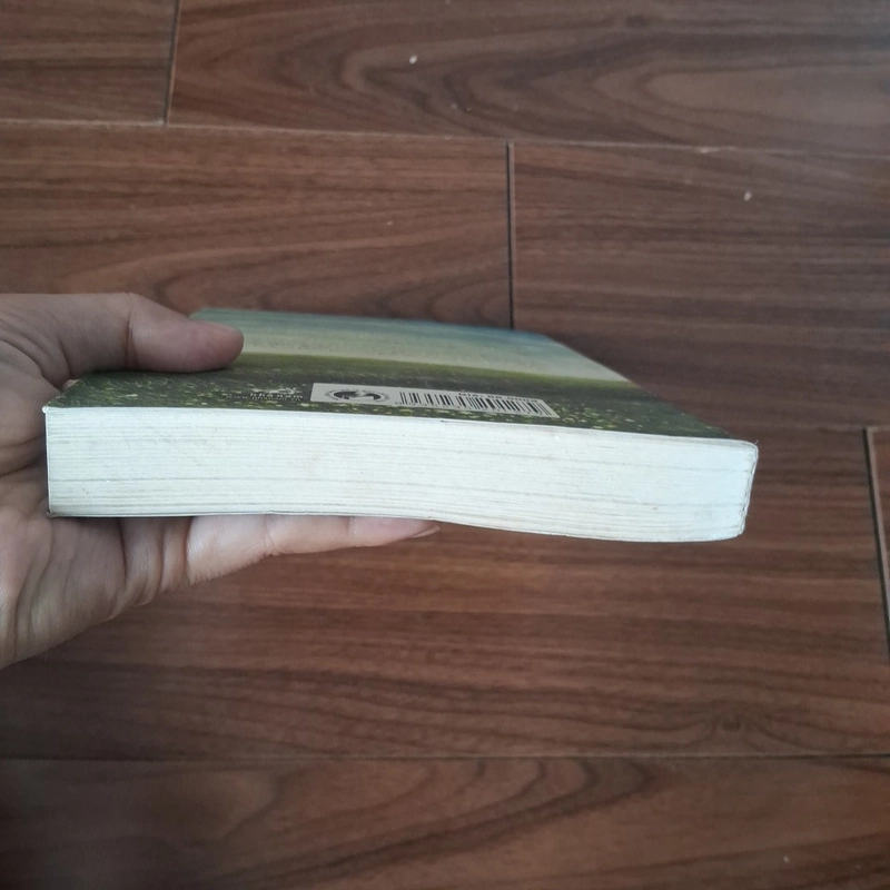 Trái tim em thuộc về đất 508408