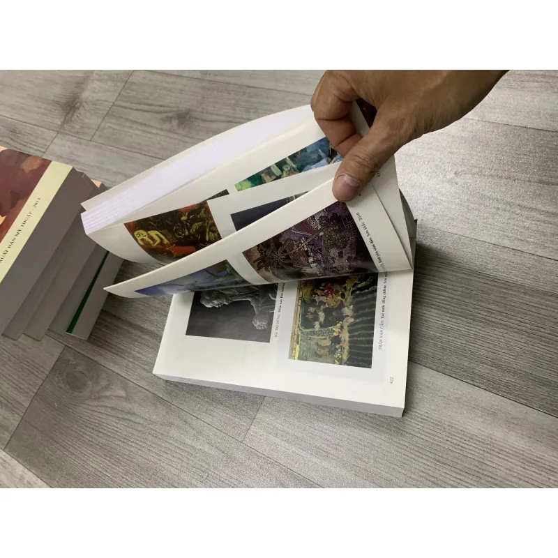 Mỹ thuật vùng miền việt nam. Combo 6 cuốn. 12a1 759912