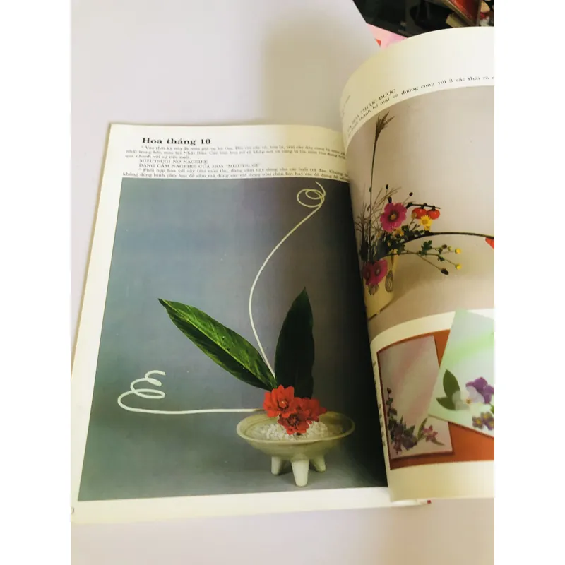 NGHỆ THUẬT CẮM HOA NHẬT BẢN  591885