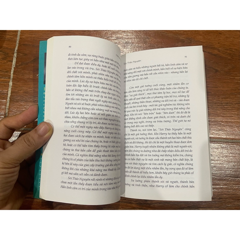 SÓI THẢO NGUYÊN - HERMANN HESSE (k1) 538046