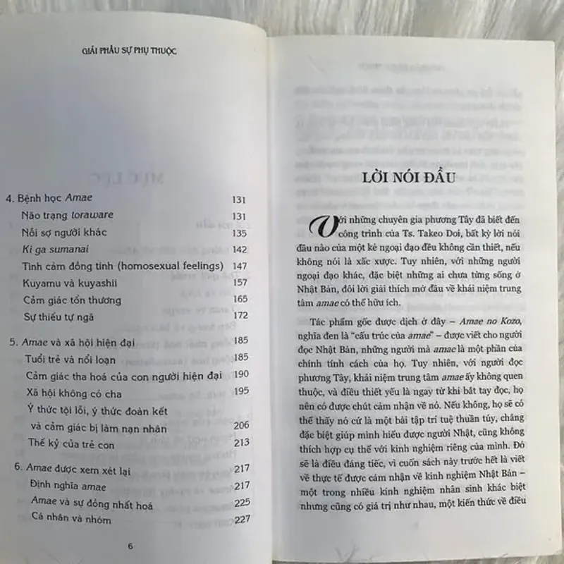 Giải phẫu sự phụ thuộc - Takeo Doi 680986