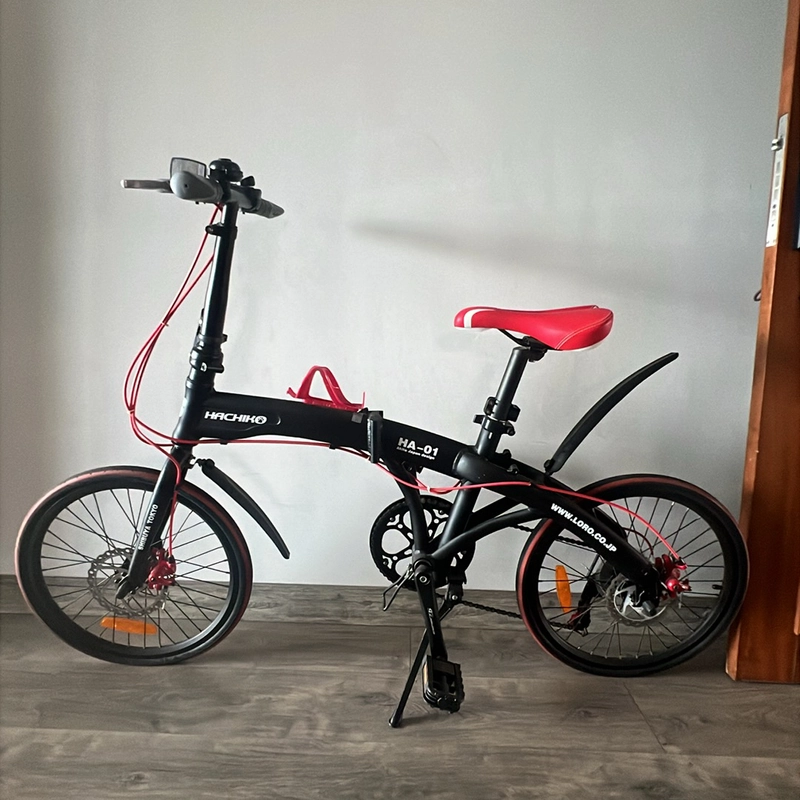 Xe đạp thể thao, gấp được để trong xe hơi 466609