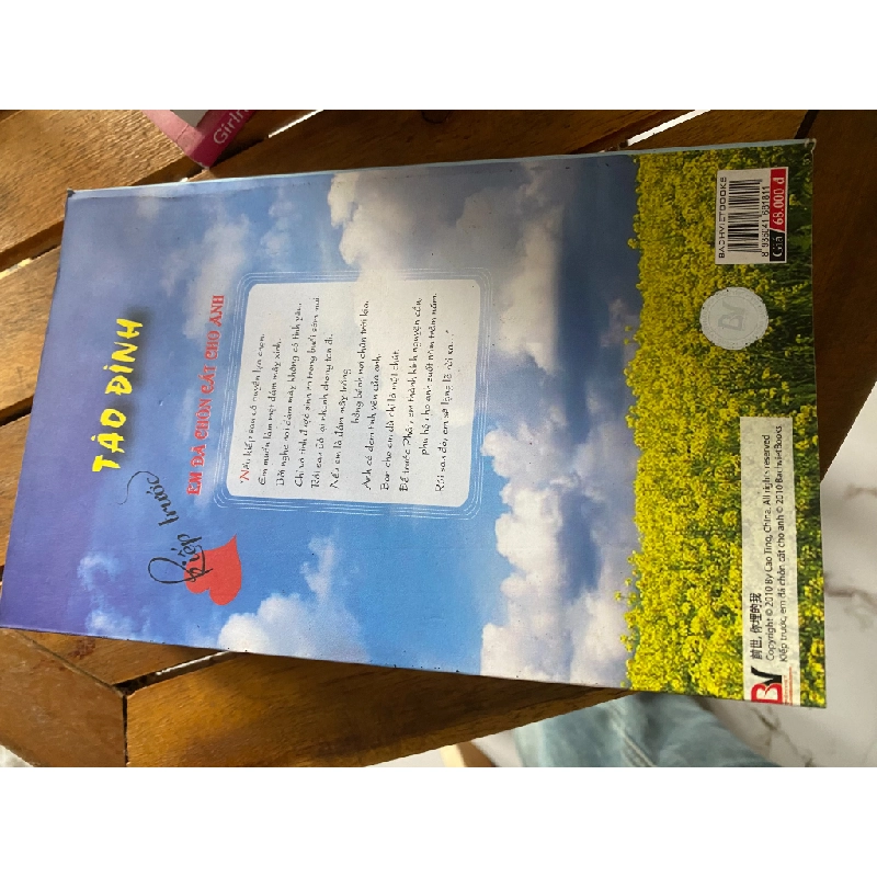 Kiếp trước em đã chôn cất cho anh - Tập 2 - Táo Đình 530729
