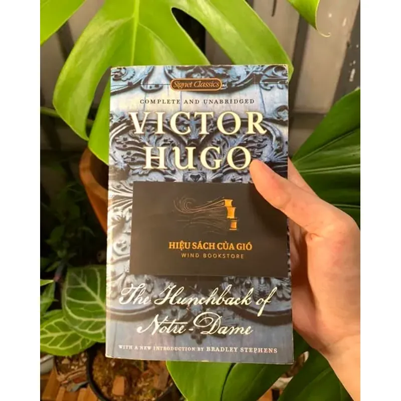 The Hunchback of Notre-Dame - Victor Hugo 533679