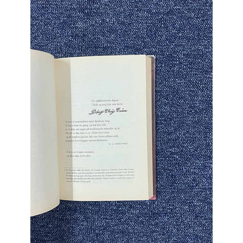 Nhật ký Đặng Thuỳ Trâm (BC) 162908