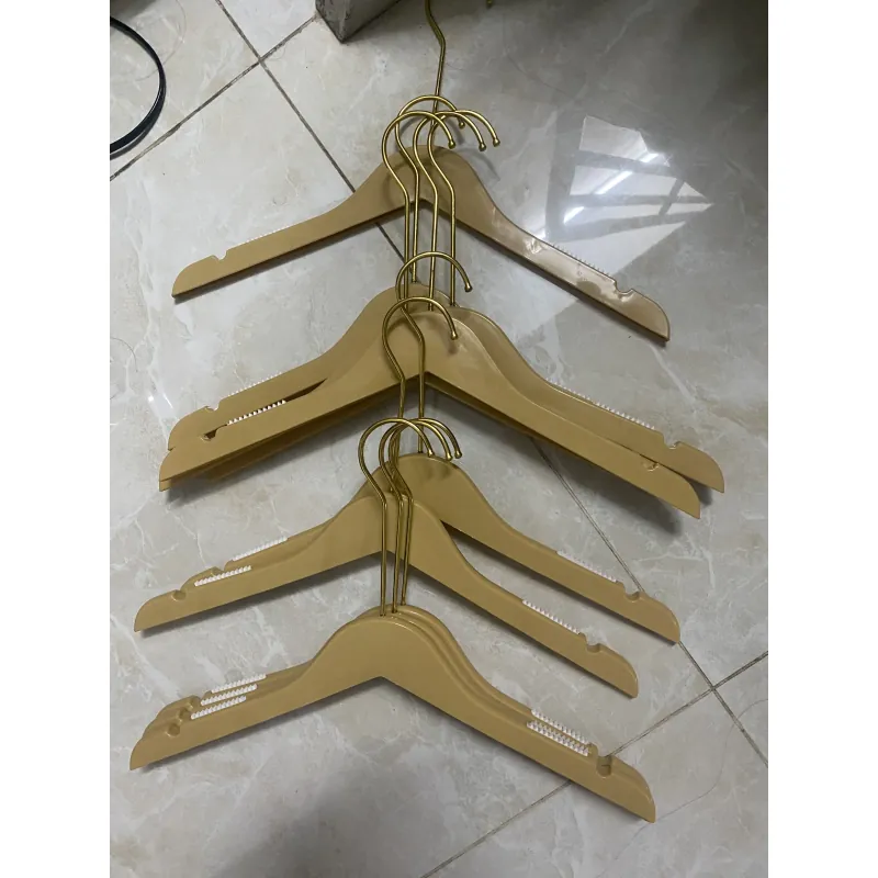 10 mócquần áo nhựa 1023315