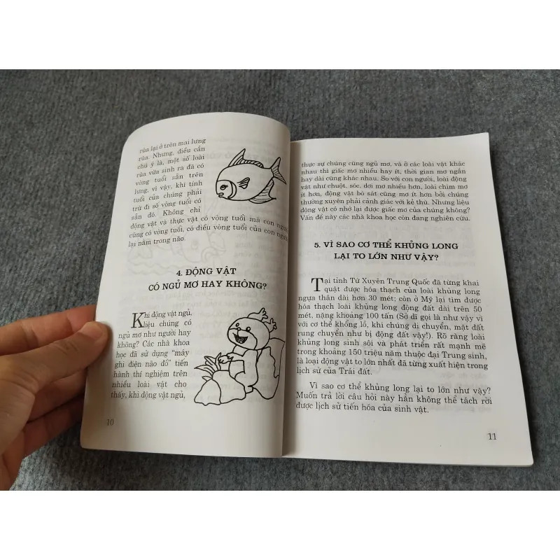 NHỮNG CÂU HỎI LÝ THÚ VÀ THÔNG MINH 2 719842