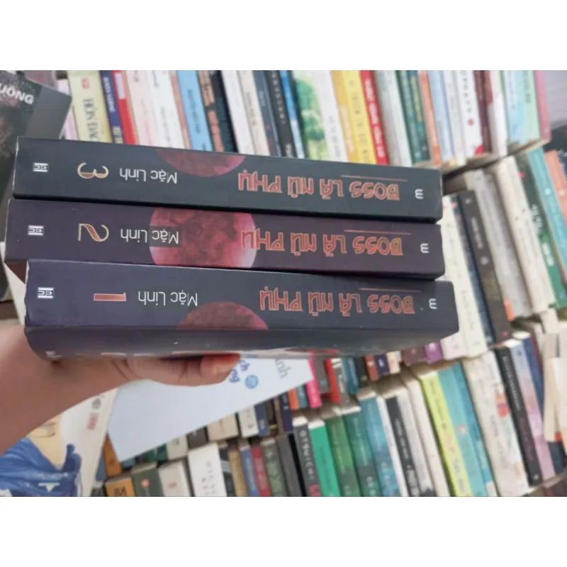 Boss là nữ phụ 970921