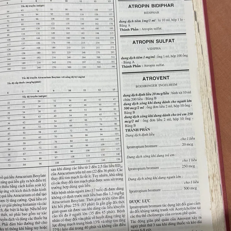 Vidal Việt Nam 2003 🌊 718558