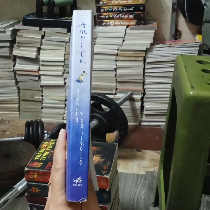 AMRITA - Banana Yoshimoto  992250