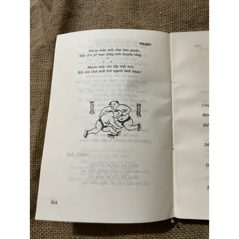 CA DAO TRỮ TÌNH VIỆT NAM - MINH HỌA 570270