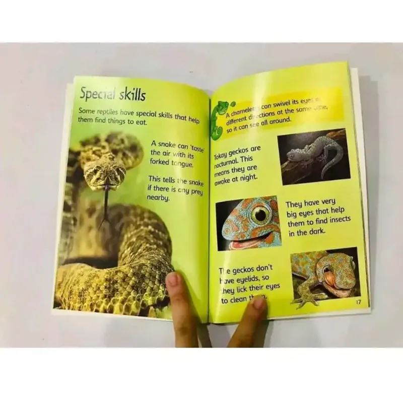 Sách - Usborne Beginners nature 10 cuốn full boxser, full color, usborne nature 1034037