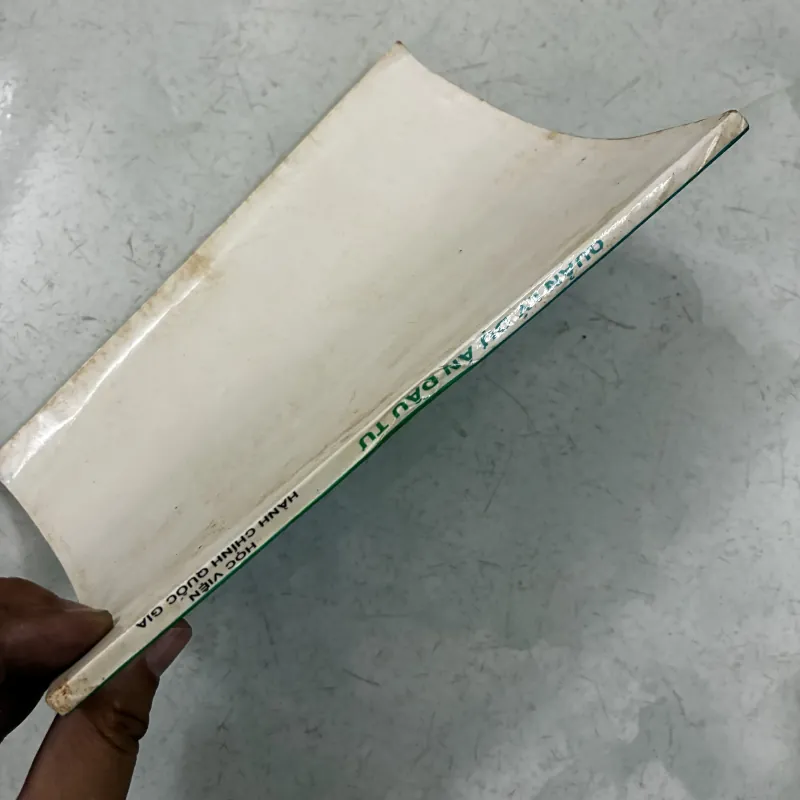 Quản lý dự án đầu tư 1010187