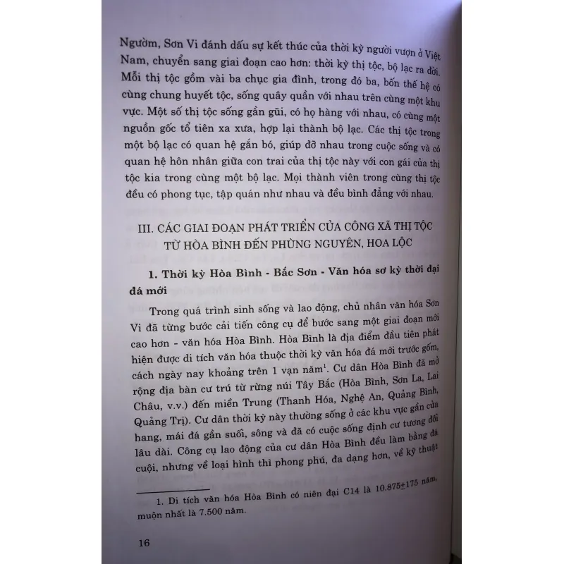 Lịch sử Việt Nam giản yếu 745695