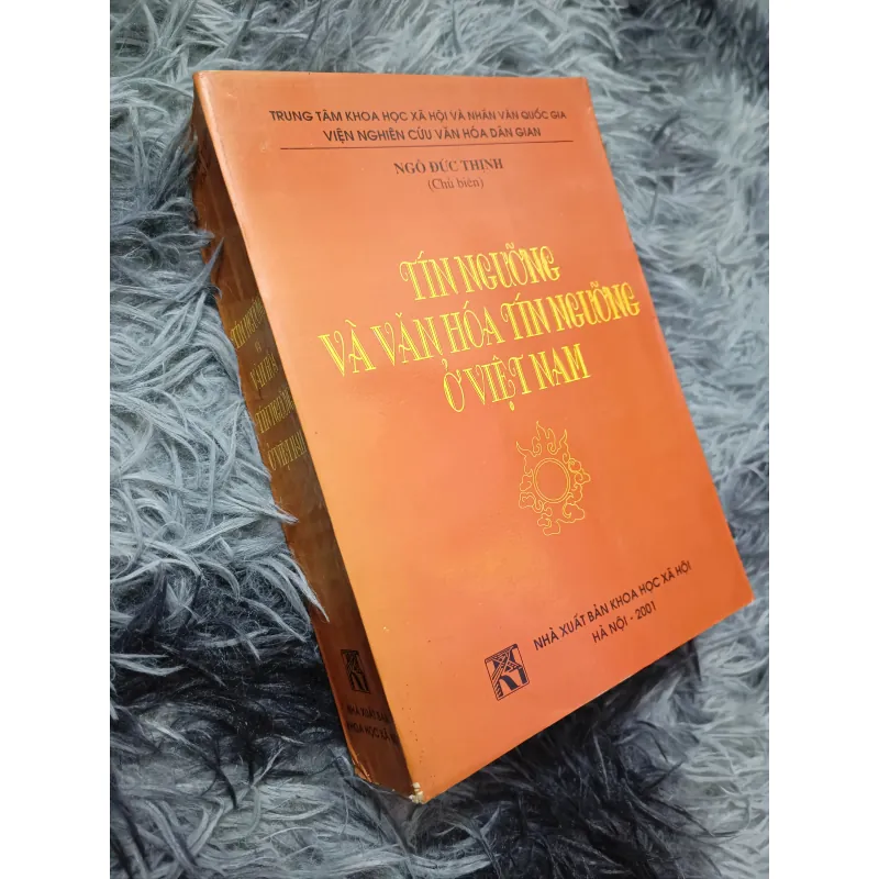 Tín ngưỡng và văn hóa tín ngưỡng ở Việt Nam (Ngô Đức Thịnh) 791097