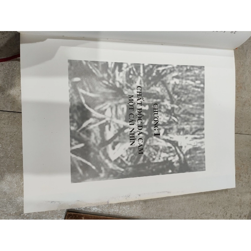 Chất Độc Da Cam Thảm Kịch Và Di Hoạ 1008228