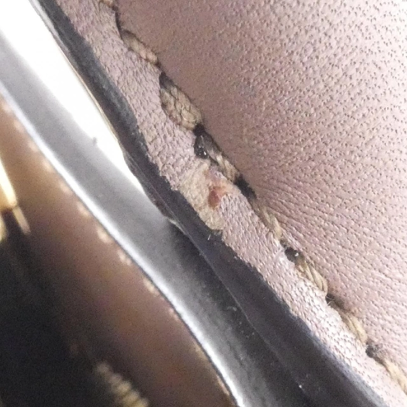 Túi xách Salvatore Ferragamo THE STUDIO 21 H159 - Hàng hiệu Chính hãng 771567