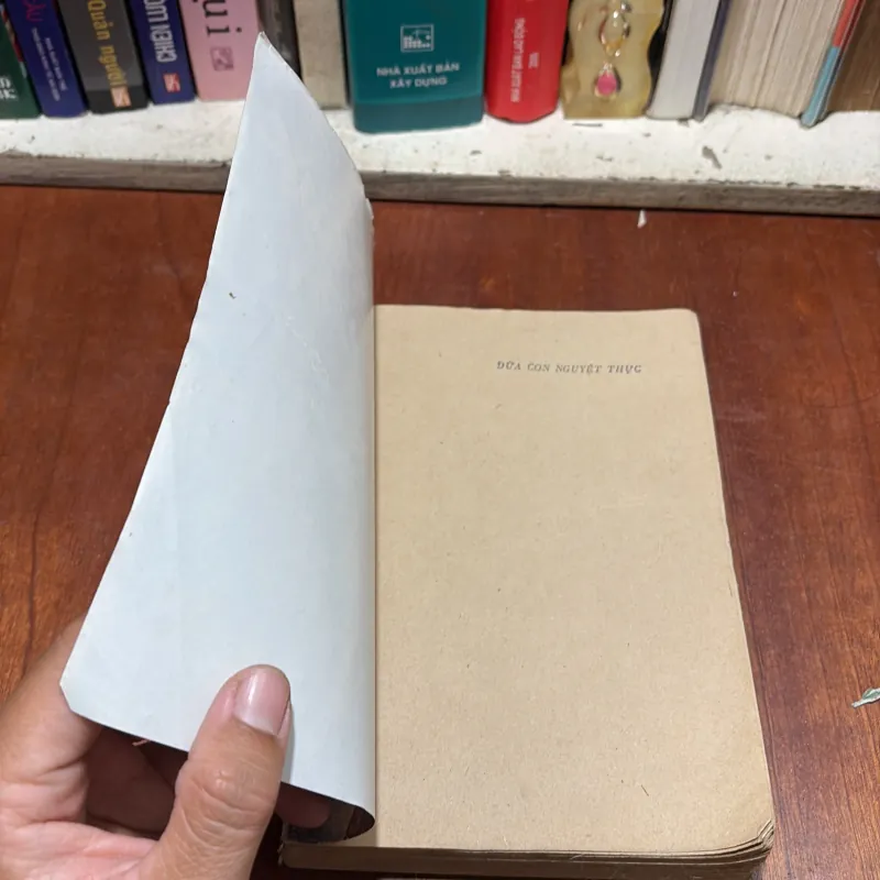 [Sách 8x] - II Tiểu Thuyết: Đứa Con Nguyệt Thực - Dương Thành Vũ - 1989 797575
