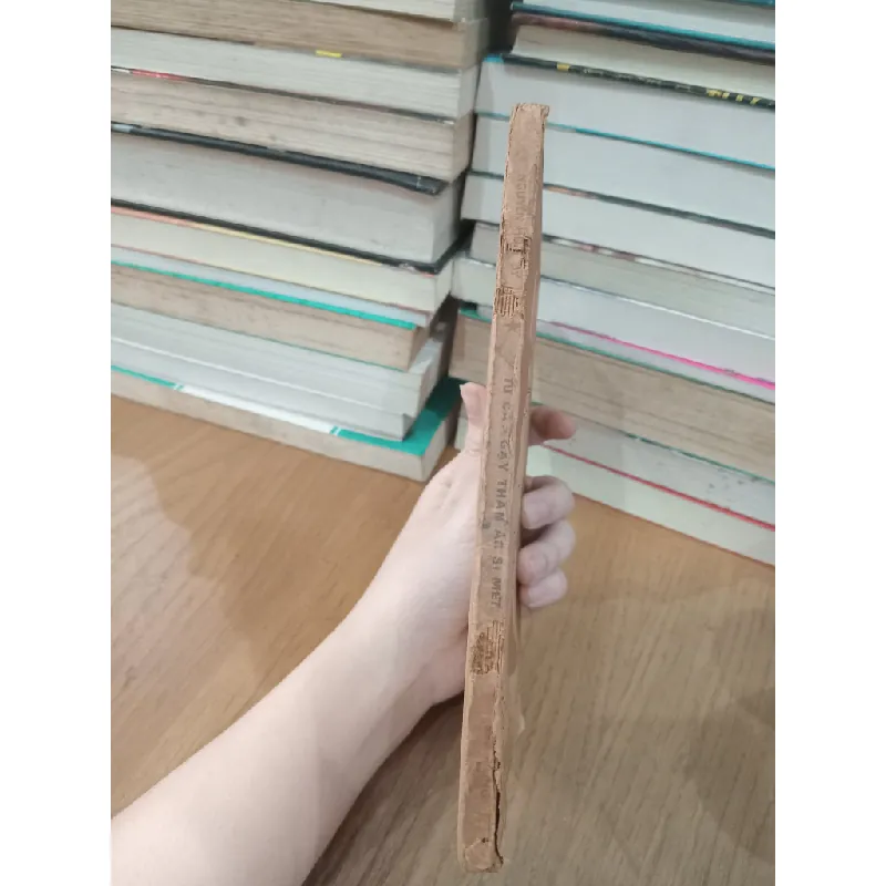 Từ cây gậy thần Ác si mét - Nguyễn Hữu Dy 561276