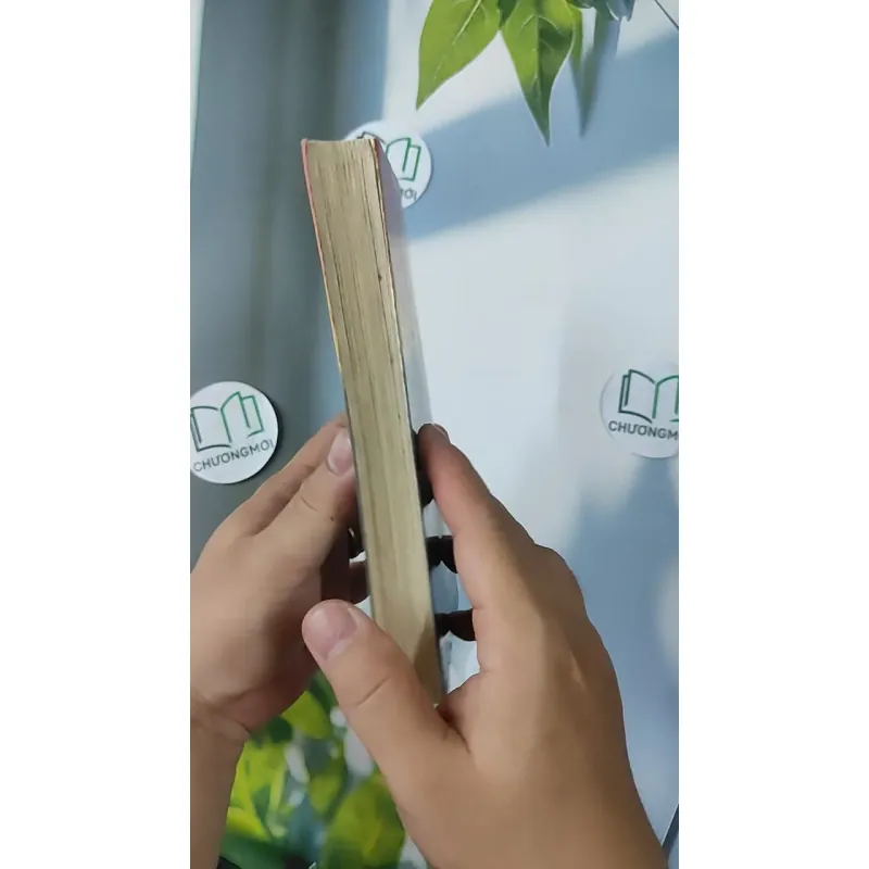 [XƯA] Ly Hôn (1997) 798394