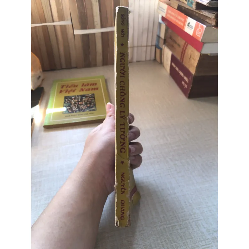 Người chồng lý tưởng-Nguyễn Quang  961393