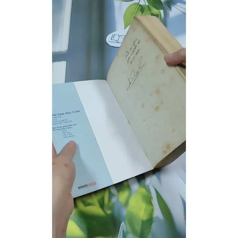 Ai Còn Chờ Ai Giữa Mùa Hoa Nở - Sói Xám Mọc Cánh 744737