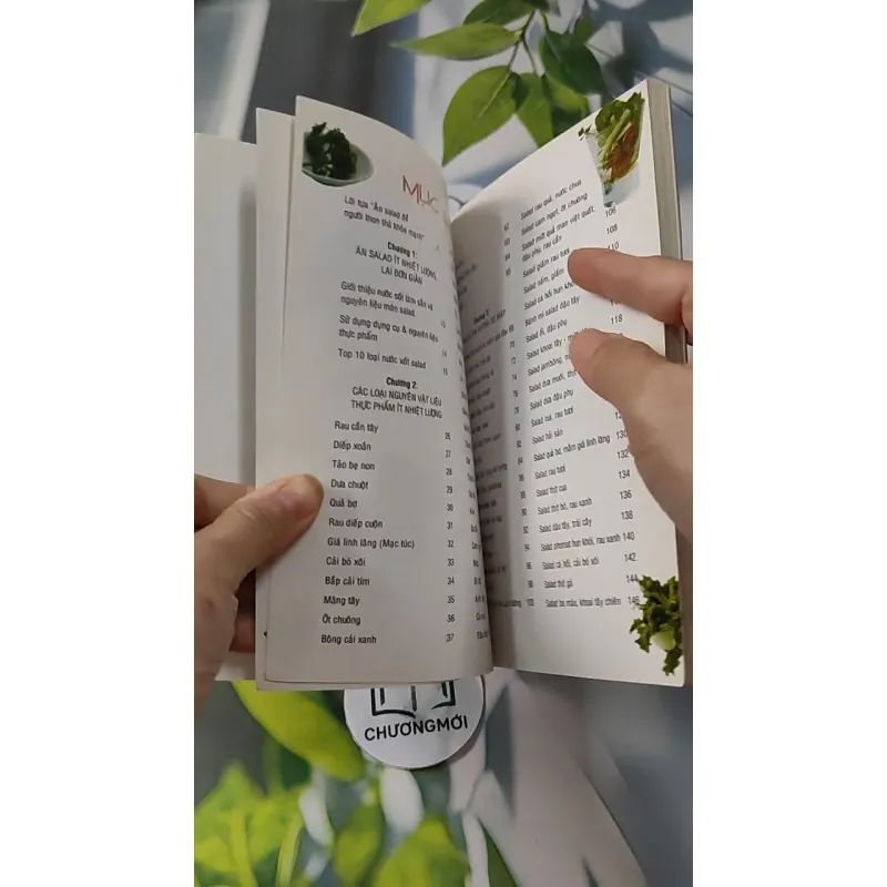Salad Thon Người - Salad & Những Thực Phẩm Ăn Không Sợ Mập - Vũ Mai Ly & Nguyễn Xuân Quy 727252