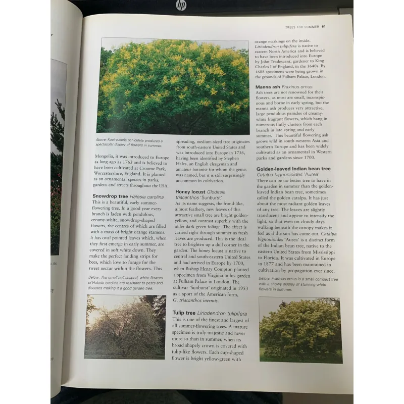 TREES OF THE WORLD (CÂY CỐI TRÊN THẾ GIỚI) - RUSSELL, CUTLER & WALTERS 795877