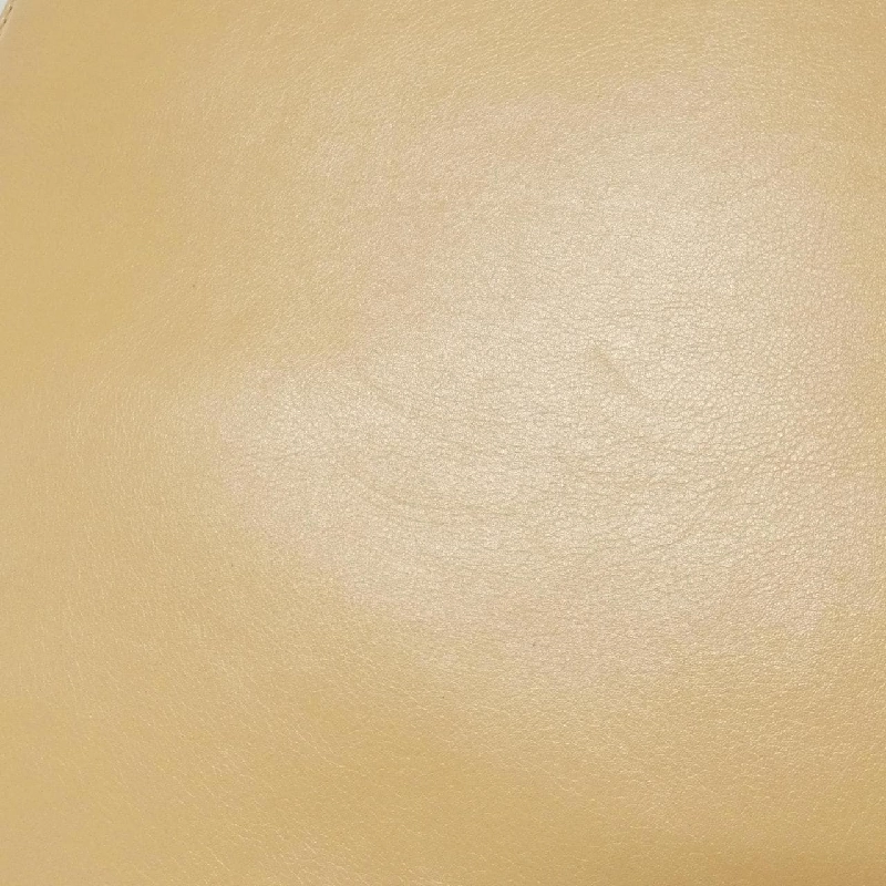 【Vintage】Túi Chanel 619246